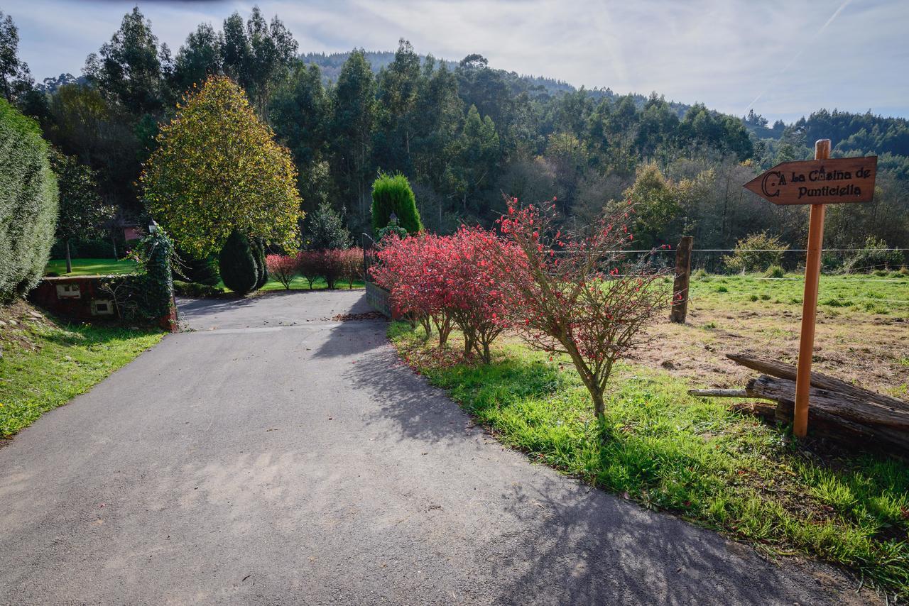 Gospodarstwo wiejskie La Casina De Punticiella *